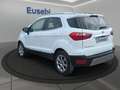Ford EcoSport 1.5 Ecoblue 100 CV Start&Stop Plus Weiß - thumbnail 5