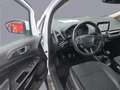Ford EcoSport 1.5 Ecoblue 100 CV Start&Stop Plus Weiß - thumbnail 13
