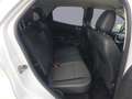 Ford EcoSport 1.5 Ecoblue 100 CV Start&Stop Plus Weiß - thumbnail 12