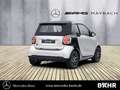 smart forTwo smart EQ fortwo cabrio Pulse/Klima/LED/Sitzhzg. BC Weiß - thumbnail 2