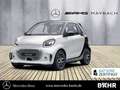 smart forTwo smart EQ fortwo cabrio Pulse/Klima/LED/Sitzhzg. BC Weiß - thumbnail 1