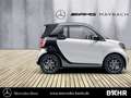 smart forTwo smart EQ fortwo cabrio Pulse/Klima/LED/Sitzhzg. BC Weiß - thumbnail 8