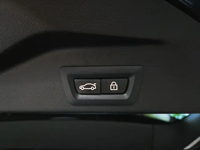 BMW X5 Xdrive45e view 14