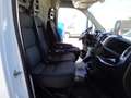 Fiat Ducato Fg. 35 3.0 Natural Power L2 H2 Blanco - thumbnail 15