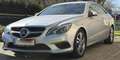 Mercedes-Benz E 220 E 220 BlueTEC Aut. Silber - thumbnail 12