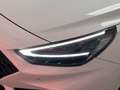 Hyundai i30 N Performance,Schale,Pano,Klappenauspuff,Navi Wit - thumbnail 29