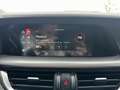 Alfa Romeo Stelvio 2.2 Turbodiesel 210 CV AT8 Q4 Veloce *TETTO, PROM Weiß - thumbnail 20