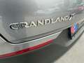 Opel Grandland X Grandland X 1,2 Turbo Direct Injection RückCam Silber - thumbnail 10