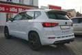 CUPRA Ateca 2.0 TSI DSG 4Drive LED Navi ACC Totwinkel Weiß - thumbnail 5
