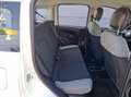 Fiat Panda 1.0 FireFly S&S Hybrid City Life Blanco - thumbnail 17