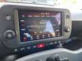 Fiat Panda 1.0 FireFly S&S Hybrid City Life Blanco - thumbnail 21