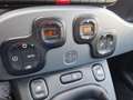 Fiat Panda 1.0 FireFly S&S Hybrid City Life Blanco - thumbnail 22