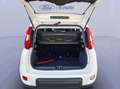 Fiat Panda 1.0 FireFly S&S Hybrid City Life Blanco - thumbnail 18