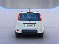 Fiat Panda 1.0 FireFly S&S Hybrid City Life Blanco - thumbnail 6