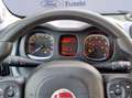 Fiat Panda 1.0 FireFly S&S Hybrid City Life Blanco - thumbnail 15