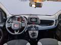 Fiat Panda 1.0 FireFly S&S Hybrid City Life Blanco - thumbnail 11