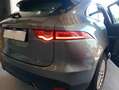 Jaguar F-Pace 3.0TDV6 Portfolio Aut. AWD Gris - thumbnail 16