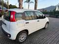 Fiat Panda Panda III 2016 1.2 Easy s Blanc - thumbnail 3