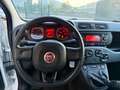 Fiat Panda Panda III 2016 1.2 Easy s Blanc - thumbnail 11