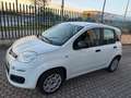 Fiat Panda Panda III 2016 1.2 Easy s Blanc - thumbnail 6