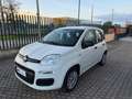 Fiat Panda Panda III 2016 1.2 Easy s Blanc - thumbnail 7