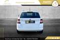 Skoda Fabia Combi Ambition 1,2 TSI // PICKERL BIS 09/2026 // Weiß - thumbnail 9