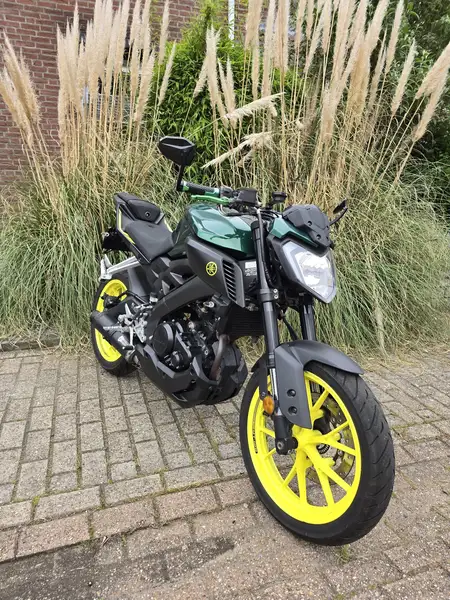 Yamaha MT-125 - foto 2