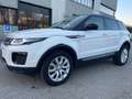 Land Rover Range Rover Evoque Range Rover Evoque 2.0 TD4 150 CV 5p*Automatik*Aut Blanco - thumbnail 2