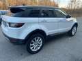 Land Rover Range Rover Evoque Range Rover Evoque 2.0 TD4 150 CV 5p*Automatik*Aut Blanco - thumbnail 8