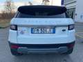 Land Rover Range Rover Evoque Range Rover Evoque 2.0 TD4 150 CV 5p*Automatik*Aut Blanco - thumbnail 9