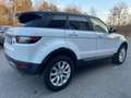 Land Rover Range Rover Evoque Range Rover Evoque 2.0 TD4 150 CV 5p*Automatik*Aut Blanco - thumbnail 7