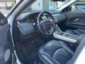 Land Rover Range Rover Evoque Range Rover Evoque 2.0 TD4 150 CV 5p*Automatik*Aut Blanco - thumbnail 12