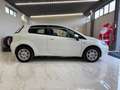 Fiat Punto Evo Punto Evo 3p 1.3 mjt Blanco - thumbnail 7