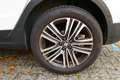 SEAT Arona 1.0 Eco TSI XCELLENCE Bianco - thumbnail 12