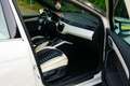 SEAT Arona 1.0 Eco TSI XCELLENCE Bianco - thumbnail 10