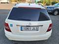 Mercedes-Benz C 180 C Estate 180CDI BE Blanco - thumbnail 3