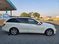 Mercedes-Benz C 180 C Estate 180CDI BE Blanco - thumbnail 4
