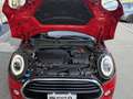 MINI Cooper 1.5 Cooper Business 5 porte Rood - thumbnail 23