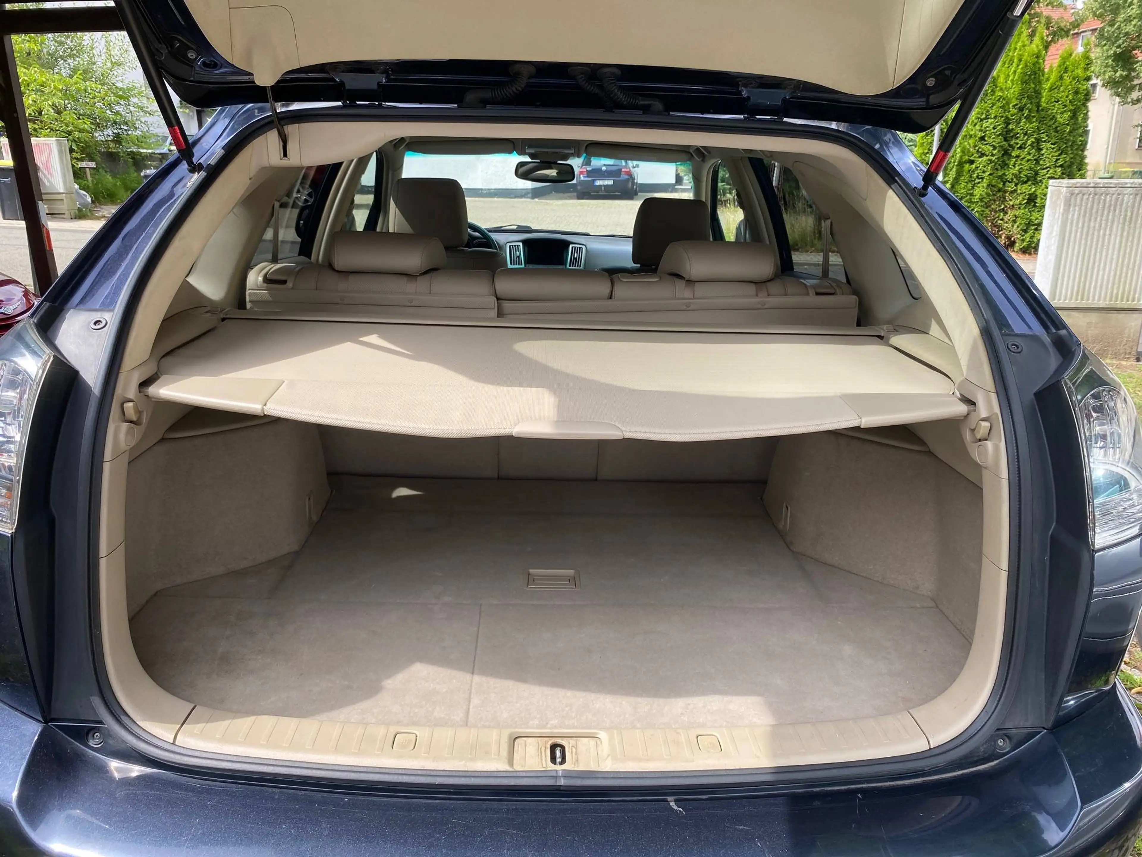Lexus RX 300 Luxury — photo 11