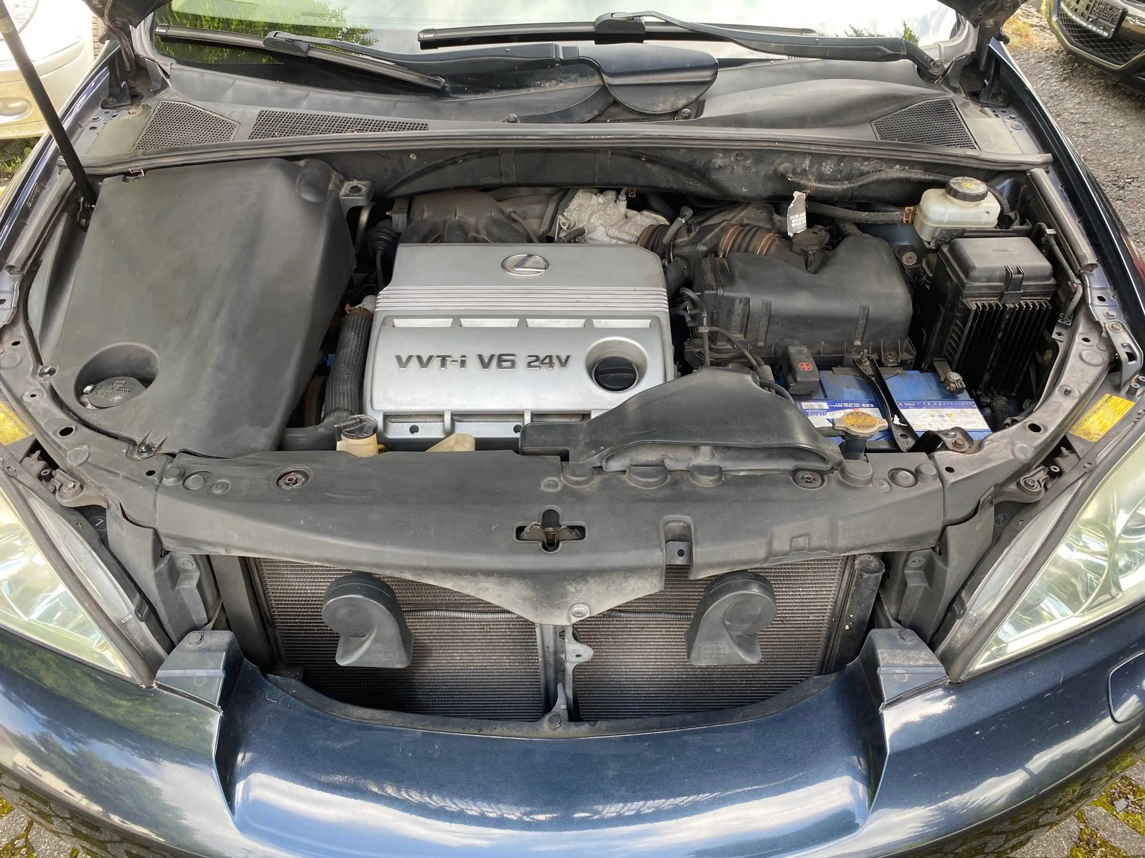 Lexus RX 300 Luxury — photo 12