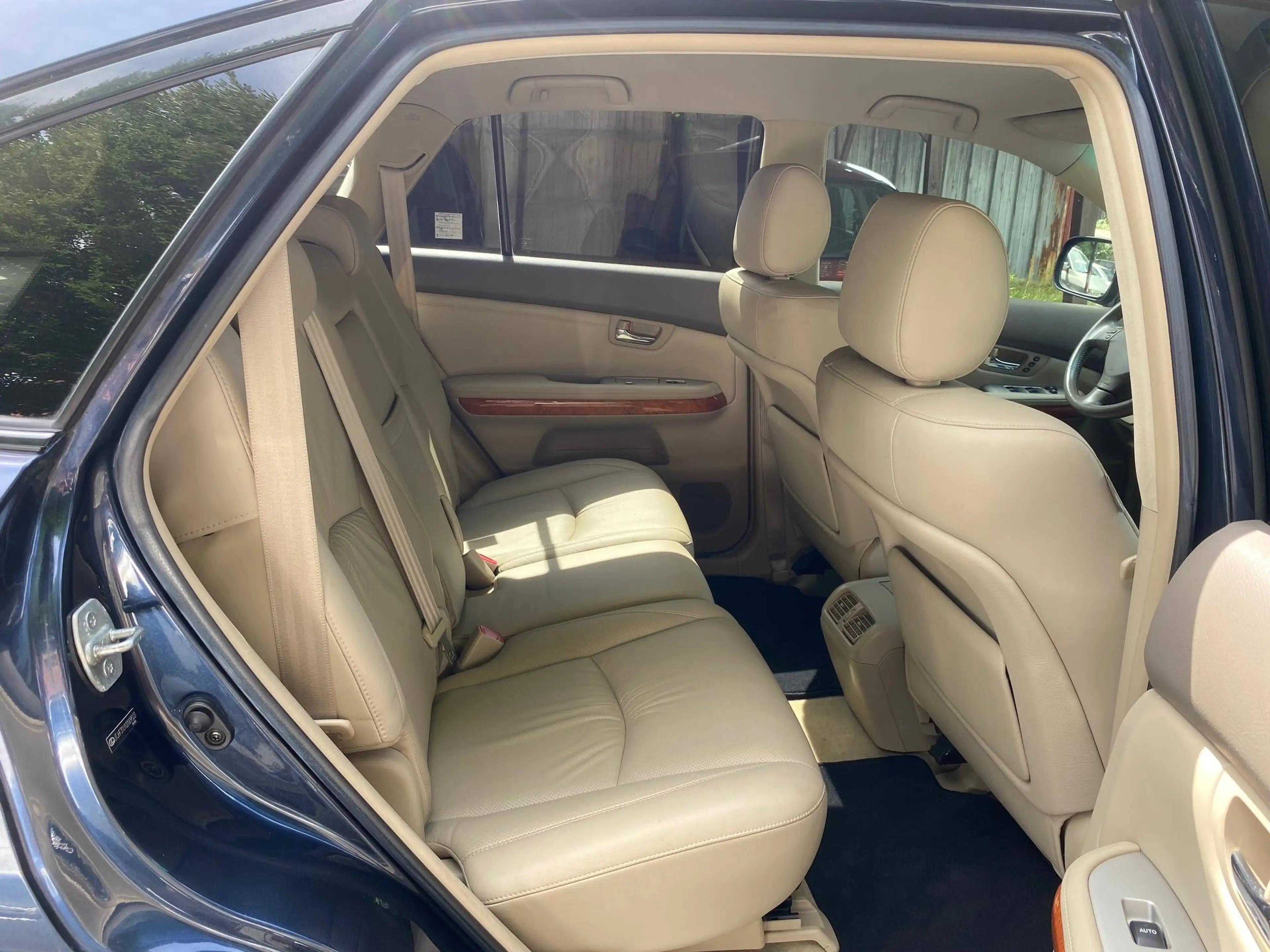 Lexus RX 300 Luxury — photo 10