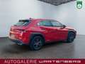 Lexus UX 250h FWD Launch Edition/LED/CAM/NAVI/SHZ/TEMP Rot - thumbnail 5