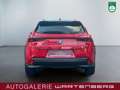 Lexus UX 250h FWD Launch Edition/LED/CAM/NAVI/SHZ/TEMP Rot - thumbnail 4