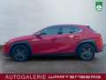 Lexus UX 250h FWD Launch Edition/LED/CAM/NAVI/SHZ/TEMP Rot - thumbnail 2