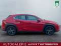 Lexus UX 250h FWD Launch Edition/LED/CAM/NAVI/SHZ/TEMP Rot - thumbnail 6
