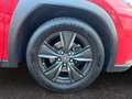 Lexus UX 250h FWD Launch Edition/LED/CAM/NAVI/SHZ/TEMP Rot - thumbnail 9