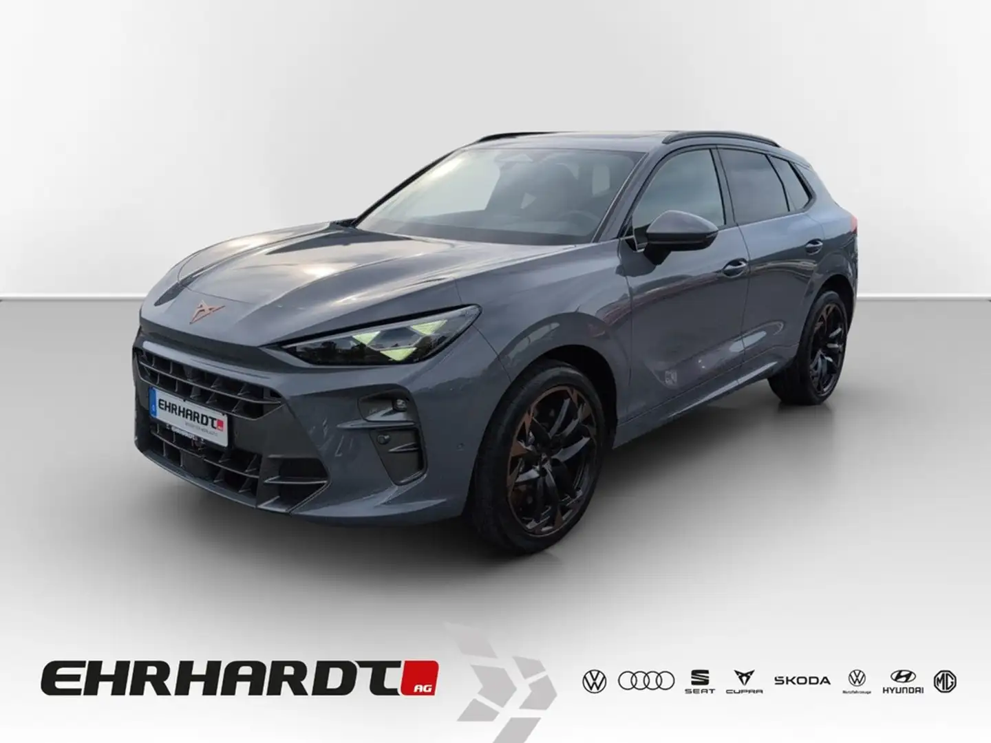 CUPRA Terramar 2.0 TSI DSG 4Drive VZ COPPER DCC AKEBONO*HEADUP... Grau - 1