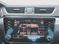 Skoda Superb Ambition TDI Grau - thumbnail 19