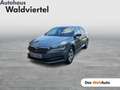 Skoda Superb Ambition TDI Grau - thumbnail 1