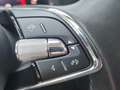 Skoda Superb Ambition TDI Grau - thumbnail 15